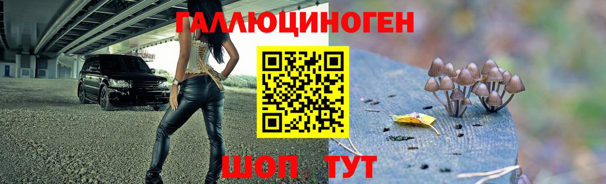 Галлюциногенные грибы Magic Shrooms Старая Купавна